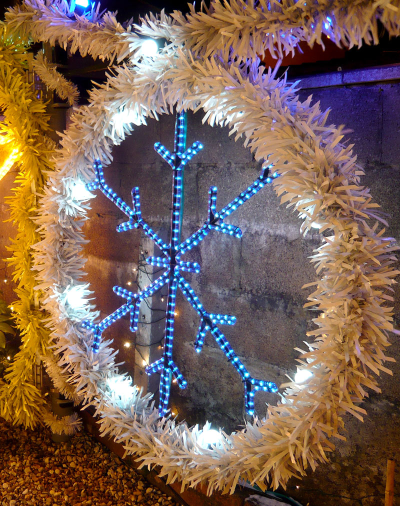 Snowflake and Ring